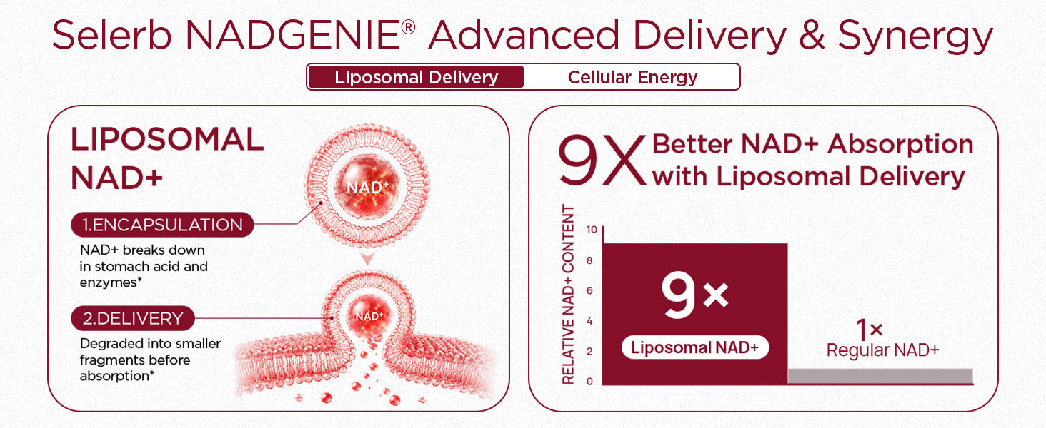 NAD+ Supplement for Women - NMN Alternative with β-NAD+, Trans-Resveratrol, CoQ10, D-Ribose - Promotes Cellular Renewal, Energy, and Radiant Skin Health - 60 Capsules Advanced