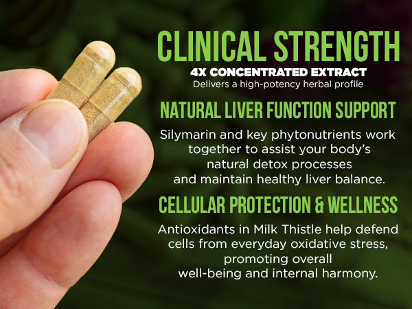 OmniBiotics Organic Milk Thistle Supplement 1500mg – 4X Concentrated Extract with Silymarin – High Potency Liver Detox & Support – 120 Vegan Capsules