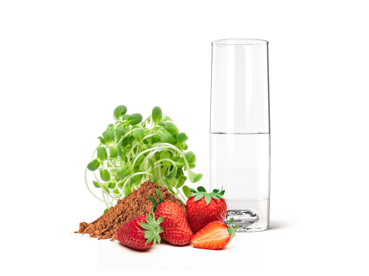 Primal Harvest Magnesium - Daily Vegan Supplement, Gluten, Dairy & Soy Free