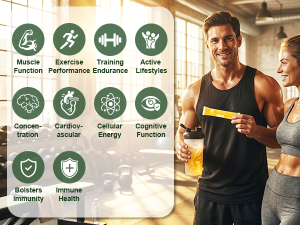 OMOGS Creatine Monohydrate + BCAA Powder, Supports Muscles, Energy, Strength, ATP Production & Endurance, for Women & Men, Keto, Vegan, Gluten-Free