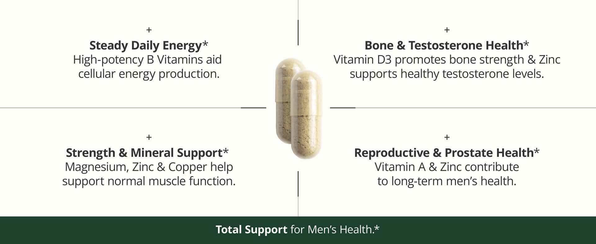 Multivitamin for Men – Methylated Multivitamin – Daily Wellness – 60 Caps
