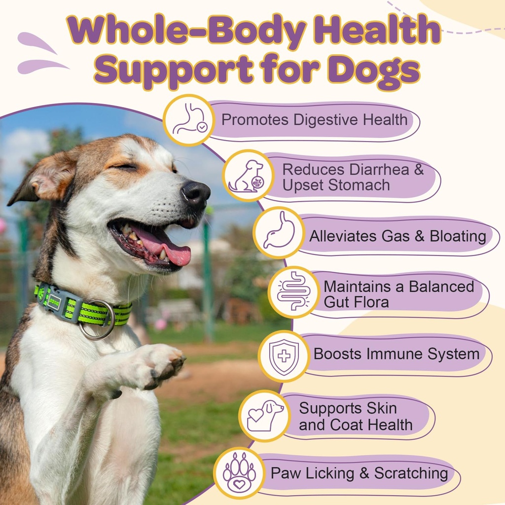 probiotics-for-dogs-6-billion-cfus-10-st-2.jpg