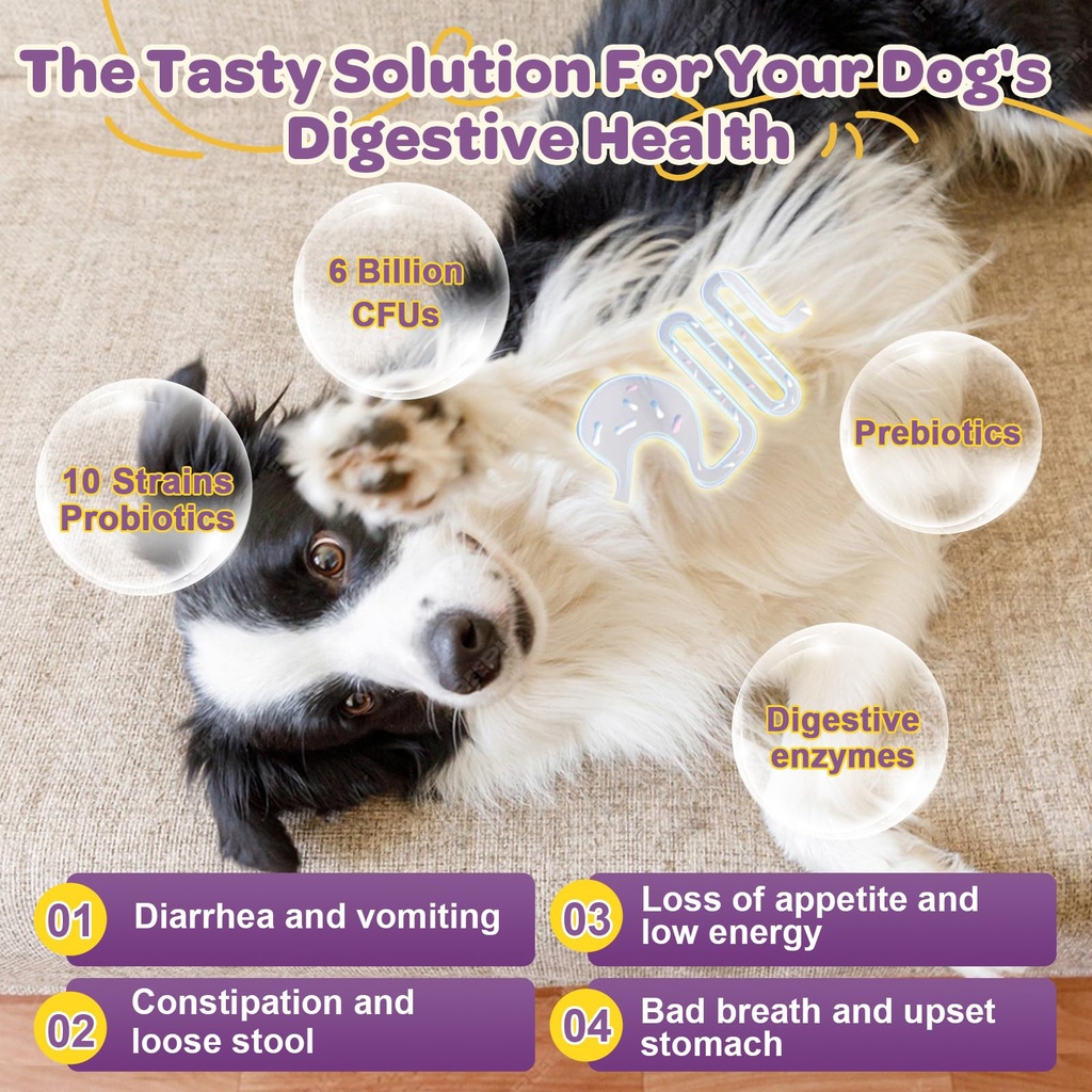 probiotics-for-dogs-6-billion-cfus-10-st-4.jpg
