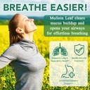 mullein-gummies-for-lung-cleanse-60-coun-3.jpg