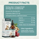 dogs-immune-support-supplement-supportin-6.jpg