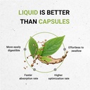secrets-of-the-tribe-lion-s-pride-blood--2.jpg