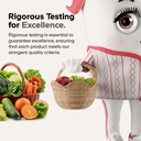 codeage-akkermansia-synbiotic-supplement-4.jpg