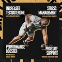 animal-tnt-test-booster-m-stak-muscle-bu-3.jpg