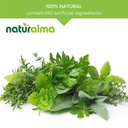 naturalma-bilberry-or-european-blueberry-4.jpg
