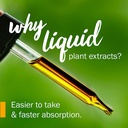 herb-pharm-certified-organic-wormwood-li-3.jpg