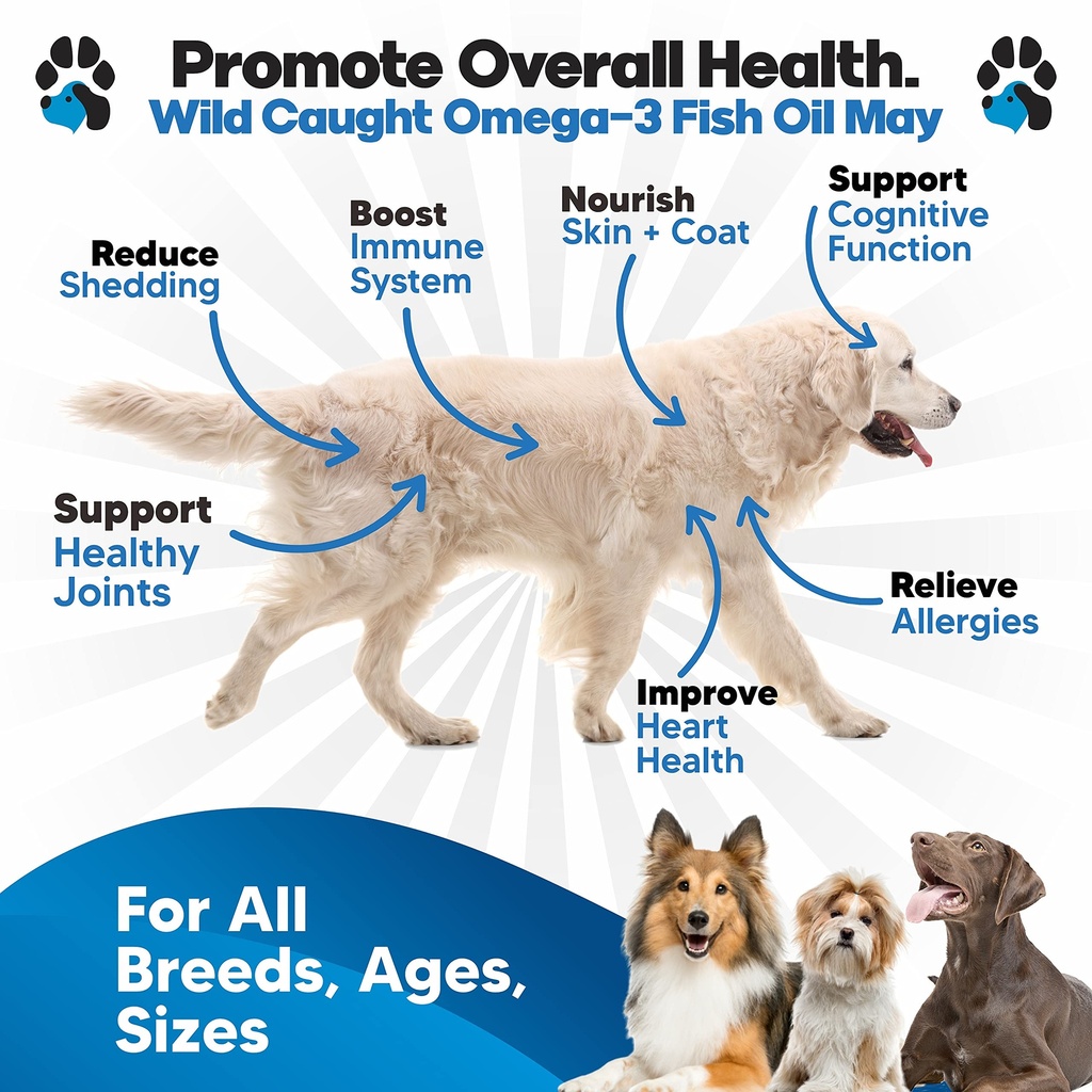 omega-3-fish-oil-for-dogs-salmon-oil-for-2.jpg
