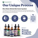 rejuvica-health-kava-kava-root-extract-s-4.jpg