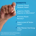 excellacor-450-systemic-enzyme-supplemen-4.jpg