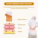 20-pcs-capsaicin-patches-pain-patches-he-3.jpg