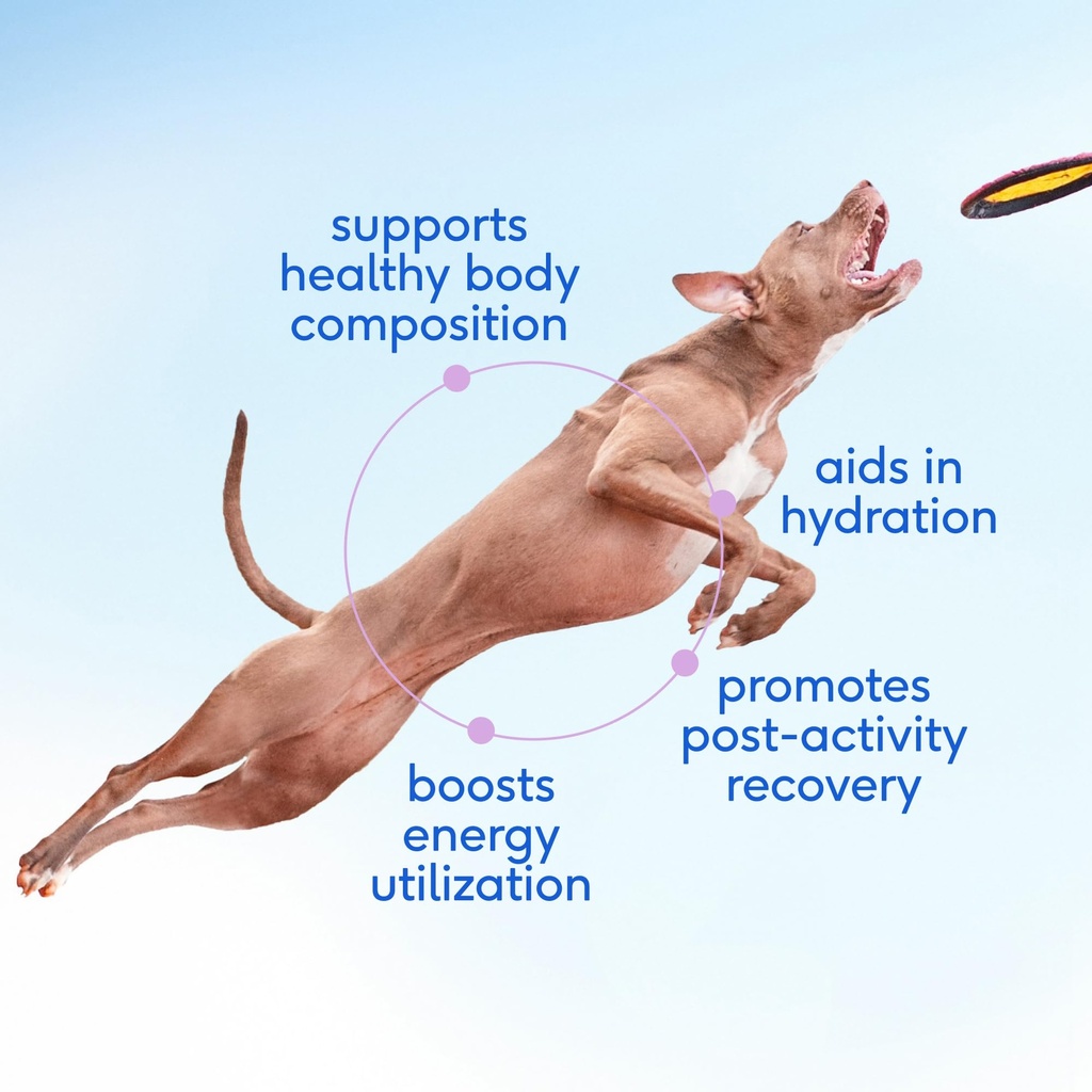 native-pet-goat-milk-powder-for-dogs-60--2.jpg
