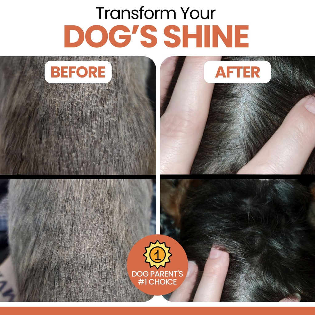omega-3-fish-oil-for-dogs-salmon-flavor--81PtWTsFOsL.jpg