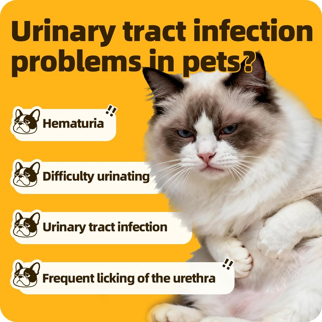 urinary-tract-supplement-for-urinary-tra-71jA3priWfL.jpg