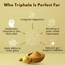 earthen-story-certified-organic-triphala-61ucDfnHWBL.jpg