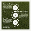 fungifix-total-nail-repair-with-oil-of-o-6.jpg