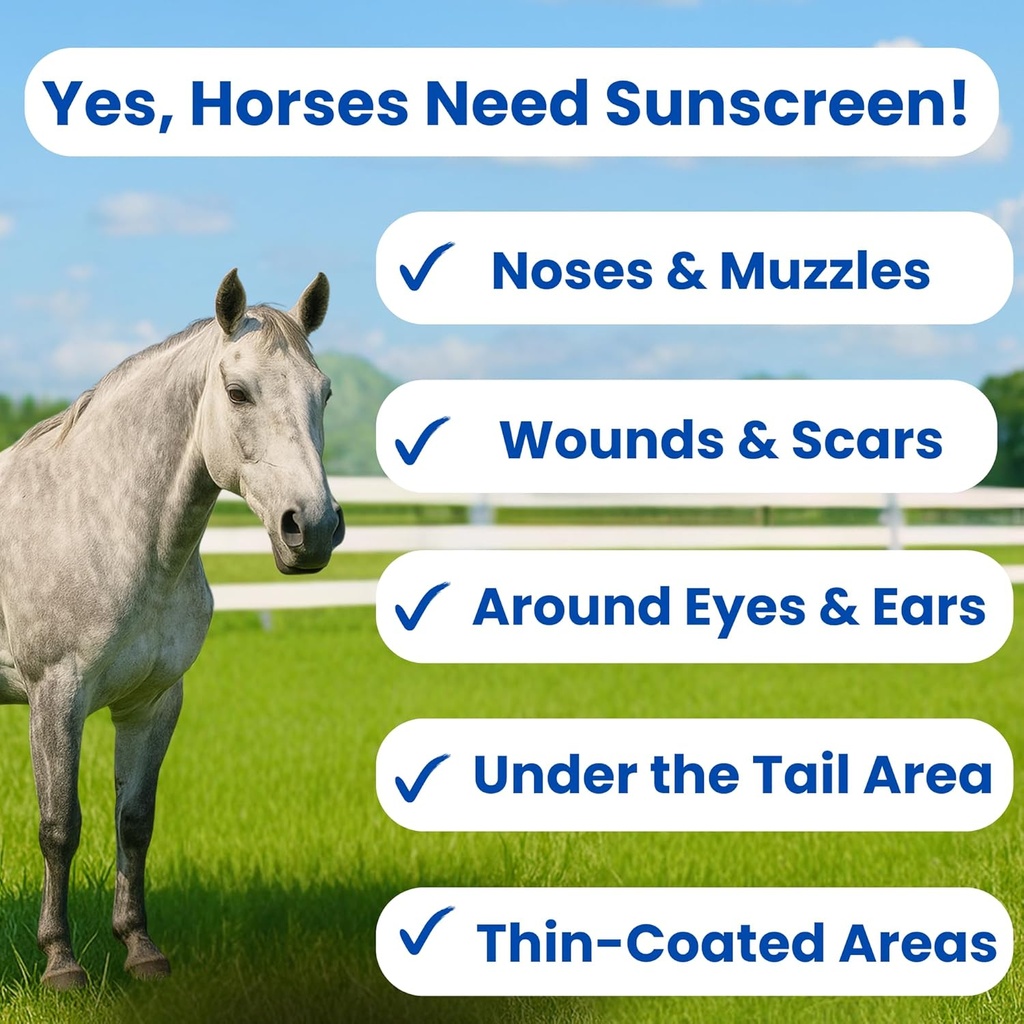 sit-stay-forever-organic-sunscreen-moist-2.jpg