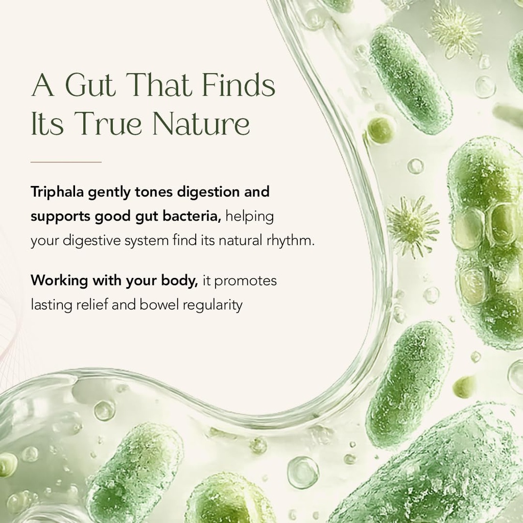 kerala-ayurveda-triphala-churna-gut-heal-617CINF-+wL.jpg