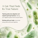 kerala-ayurveda-triphala-churna-gut-heal-617CINF-+wL.jpg