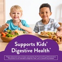 lil-critters-kids-probiotics-gummies-60--81mSfNbnxjL.jpg