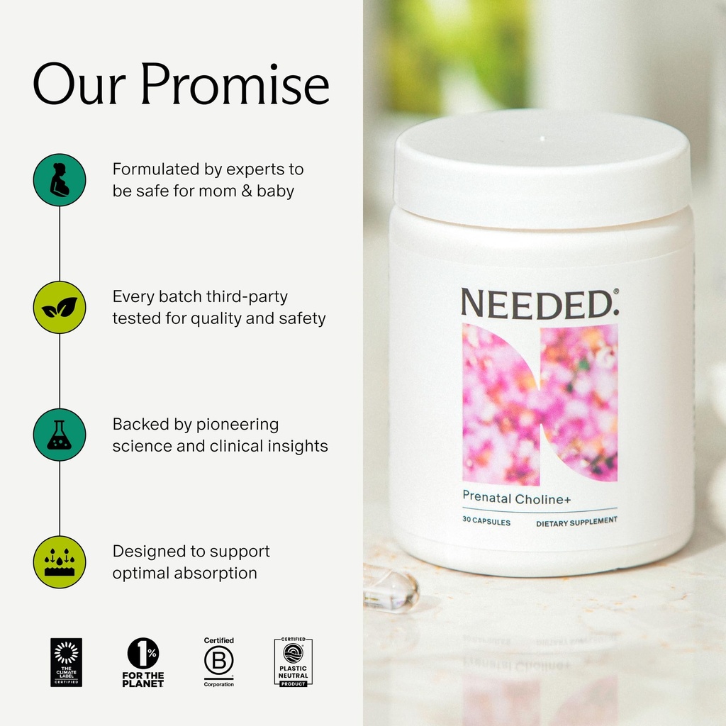 needed-prenatal-choline-for-cognitive-de-71UPtTiXSqL.jpg