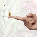 nature-s-answer-dong-quai-1000-mg-90-veg-61DraszVa2L.jpg