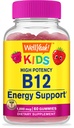 wellyeah-vitamin-b12-kids-vitamin-d3-k2--61xgZZoFldL.jpg