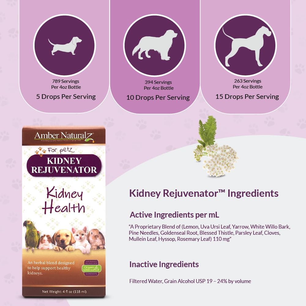 amber-naturalz-kidney-rejuvenator-herbal-4.jpg