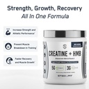 steelfit-creatine-hmb-powder-5g-creapure-71iQk36WCWL.jpg