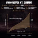 creatine-hmb-supplements-for-men-and-wom-71aHqyLlvbL.jpg
