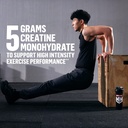 muscle-milk-pro-series-creatine-powder-s-91G2xAX-5yL.jpg