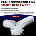 micronized-creatine-monohydrate-6000mg-w-71J3GHgDFWL.jpg