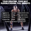 micronized-creatine-monohydrate-6000mg-w-71bnFb32QHL.jpg