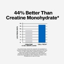 muscletech-creatine-monohydrate-powder-c-61-M2NEtdXL.jpg