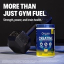 orgain-5g-creatine-monohydrate-micronize-81mBQrf6pML.jpg