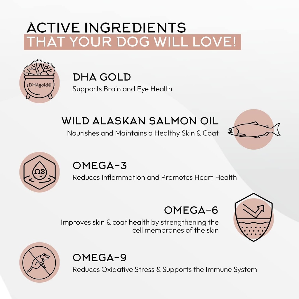 gnawty-bites-omega-shine-dog-skin-and-co-3.jpg