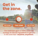 neurogum-energy-focus-gum-cinnamon-90-pi-4.jpg
