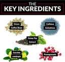 force-factor-leanfire-thermo-gummies-wit-3.jpg