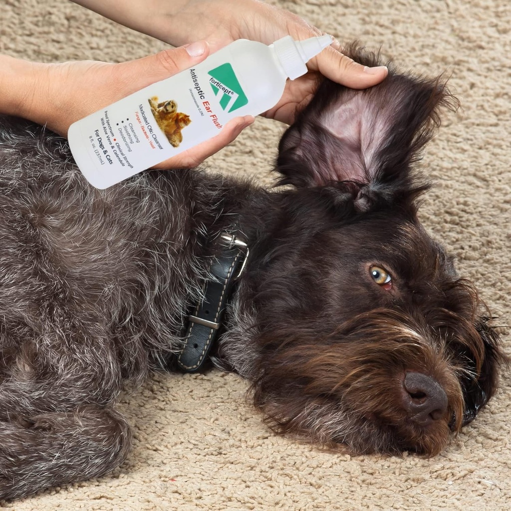 forticept-wounhot-spot-treatment-and-ear-5.jpg