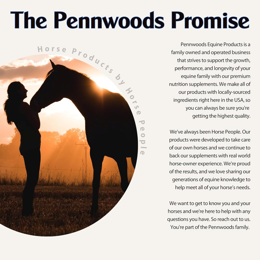 pennwoods-body-builder-4000-horse-weight-5.jpg