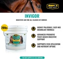 adeptus-nutrition-invigor-eq-joint-suppl-2.jpg