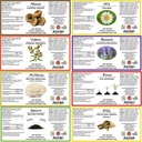 hekma-center-supplements-package-for-ms--3.jpg