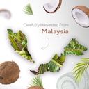 hbno-california-bottled-coconut-mct-oil--3.jpg