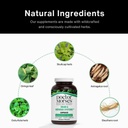 doctor-morses-brain-nervous-systems-supp-2.jpg