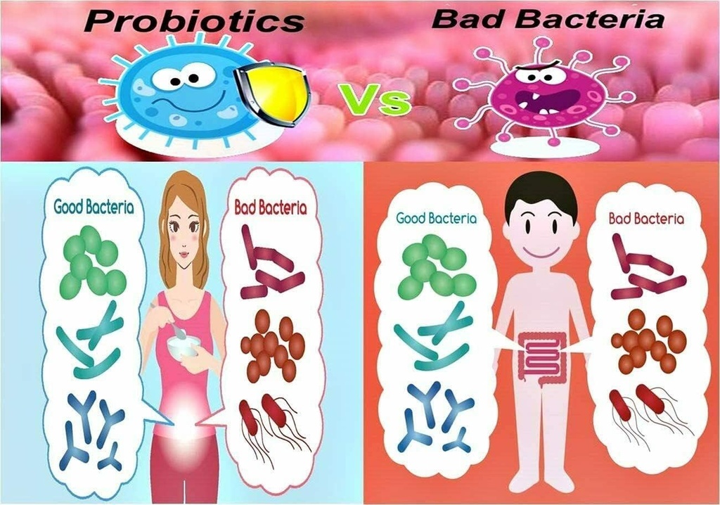 nova-probiotics-multi-strain-ultra-stren-5.jpg