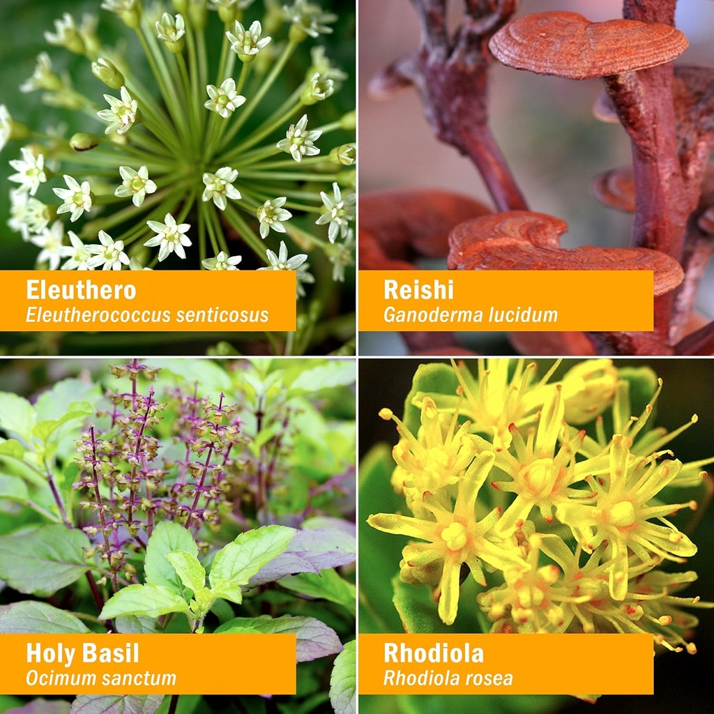 herb-pharm-stress-manager-liquid-herbal--2.jpg