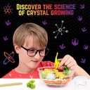 original-stationery-dinosaur-crystal-gro-5.jpg